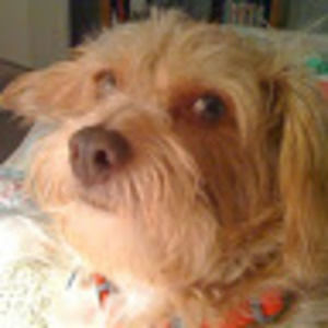 Meet your Posher, Kay